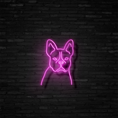 Frenchie - Neon Sign